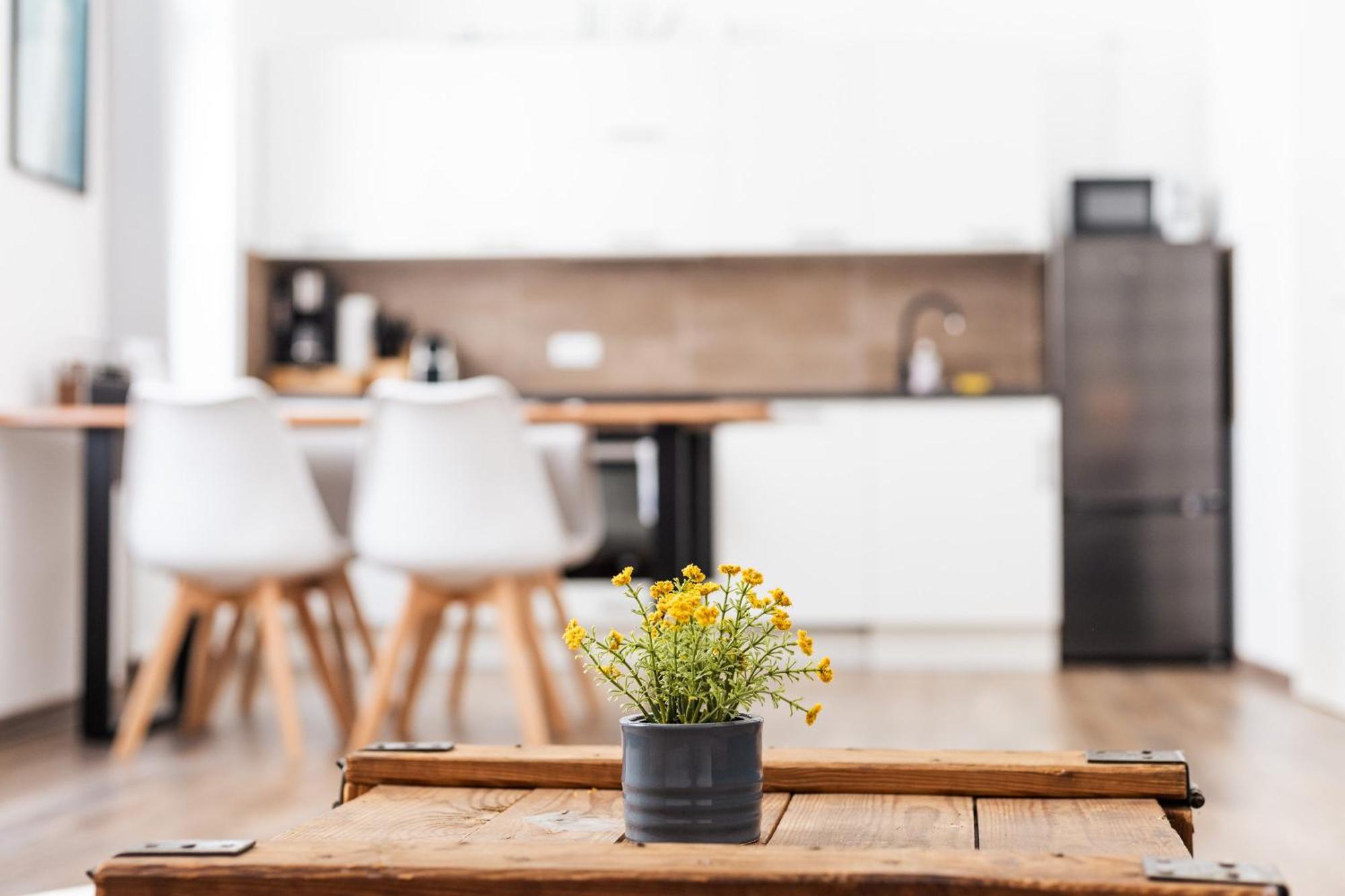 Apartments Am Neuen Theater - Altstadt - Zentral - Kueche - Wifi - Powered By Ko-Living Halle  Luaran gambar